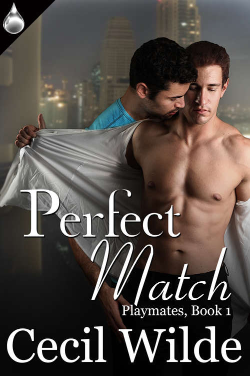 Book cover of Perfect Match
