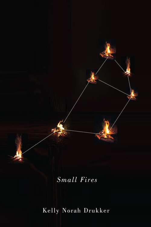 Book cover of Small Fires (3) (The Hugh MacLennan Poetry Series #36)