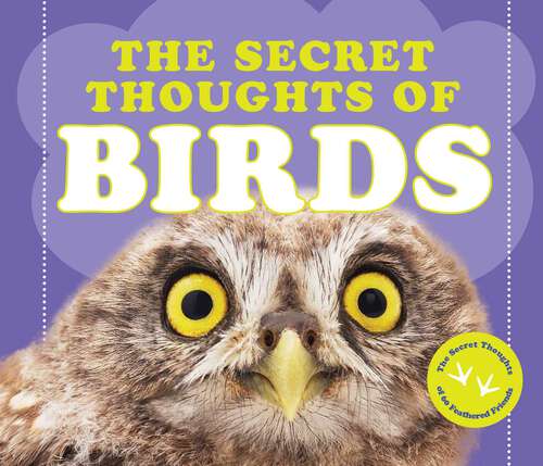 Book cover of The Secret Thoughts of Birds (Secret Thoughts Series)