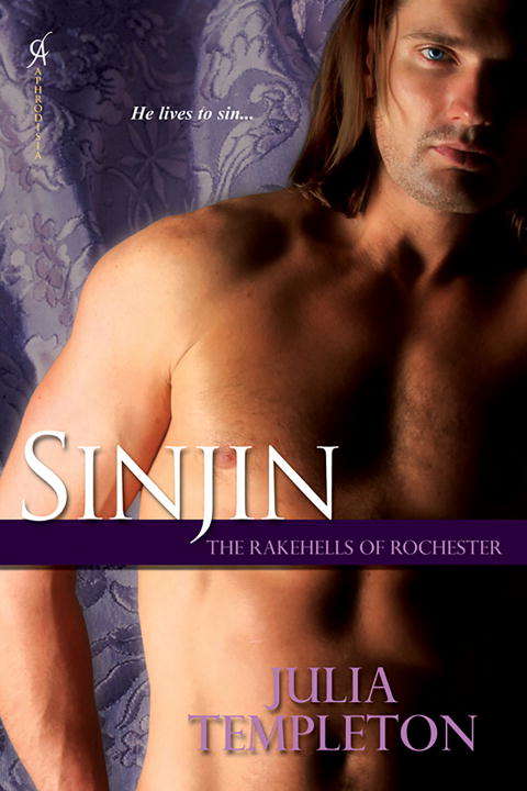 Book cover of Sinjin