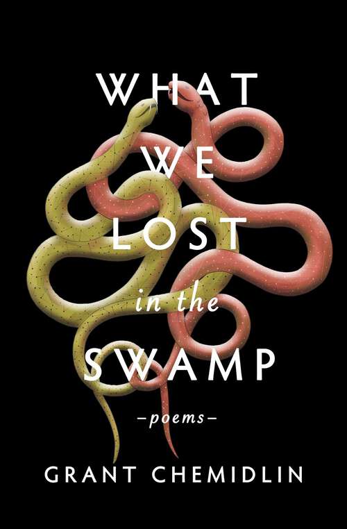 Book cover of What We Lost in the Swamp: Poems