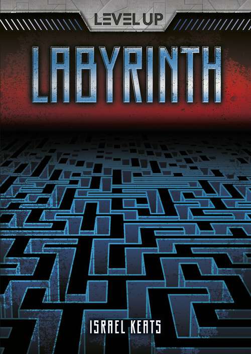 Book cover of Labyrinth (Level Up)