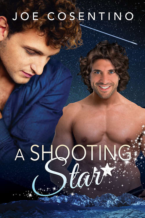 Book cover of A Shooting Star