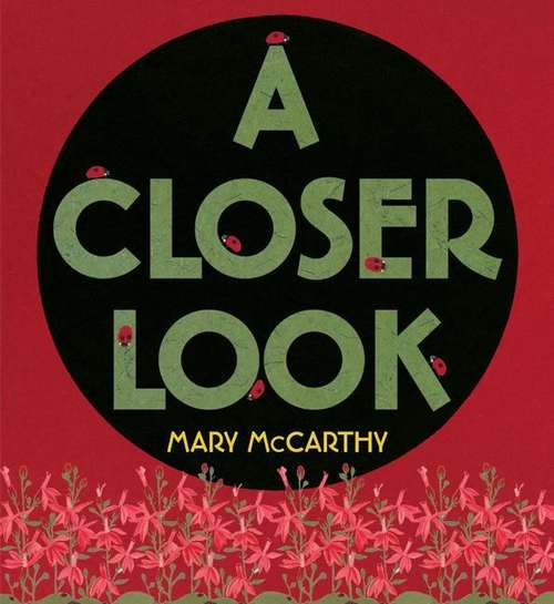 Book cover of A Closer Look