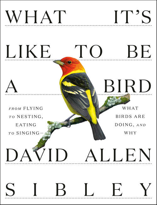 Book cover of What It's Like to Be a Bird: From Flying to Nesting, Eating to Singing--What Birds Are Doing, and Why (Sibley Guides)