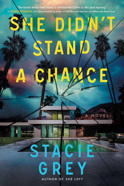 Book cover of She Didn't Stand a Chance: A Novel