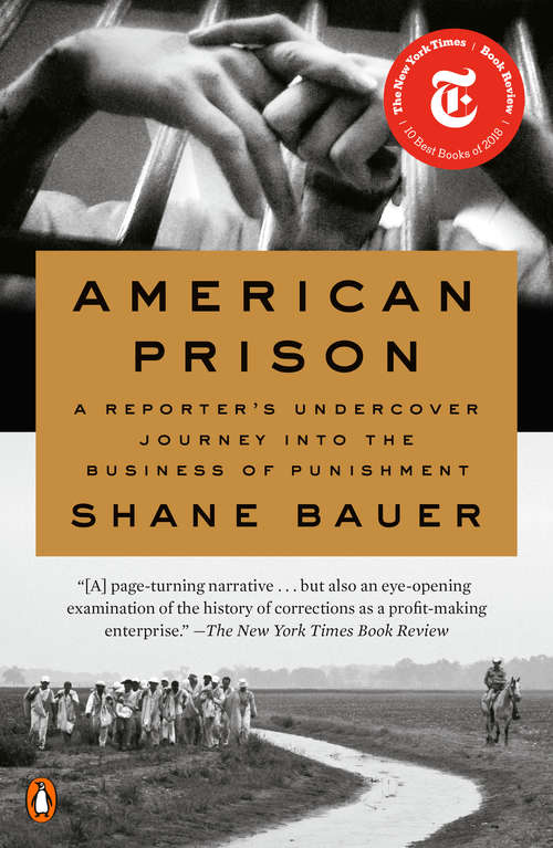 Book cover of American Prison: A Reporter's Undercover Journey into the Business of Punishment