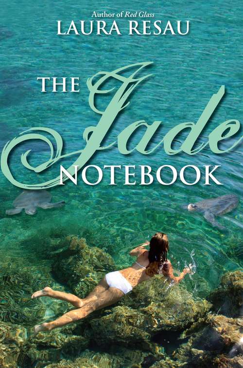 Book cover of The Jade Notebook