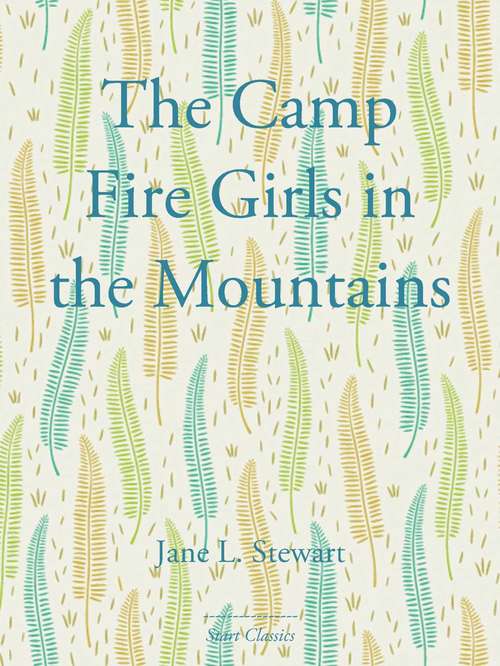 Book cover of The Camp Fire Girls in the Mountains