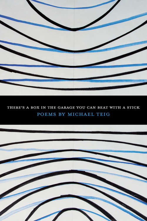 Book cover of There's a Box in the Garage You Can Beat With a Stick (American Poets Continuum)