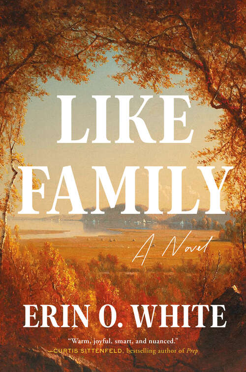 Book cover of Like Family: A Novel