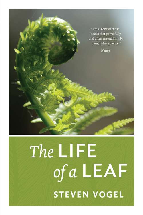 Book cover of The Life of a Leaf