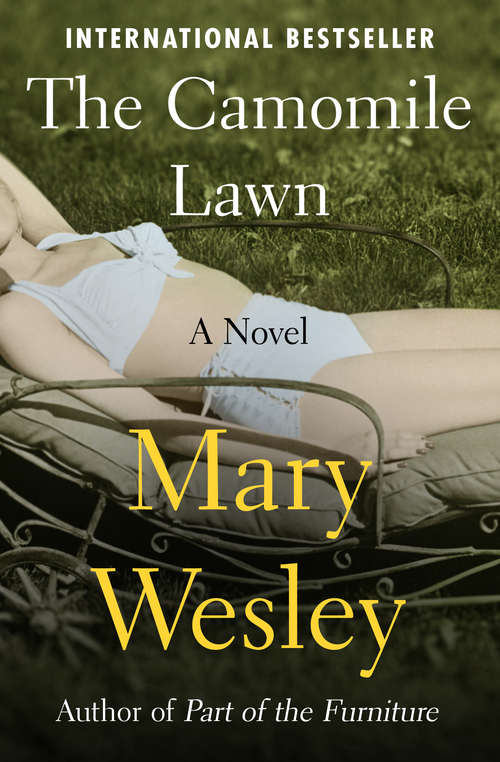 Book cover of The Camomile Lawn