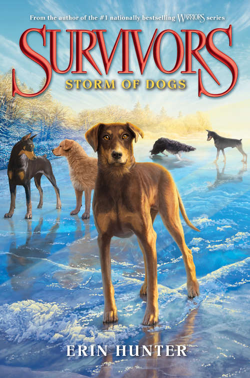Book cover of Storm of Dogs (Survivors #6)