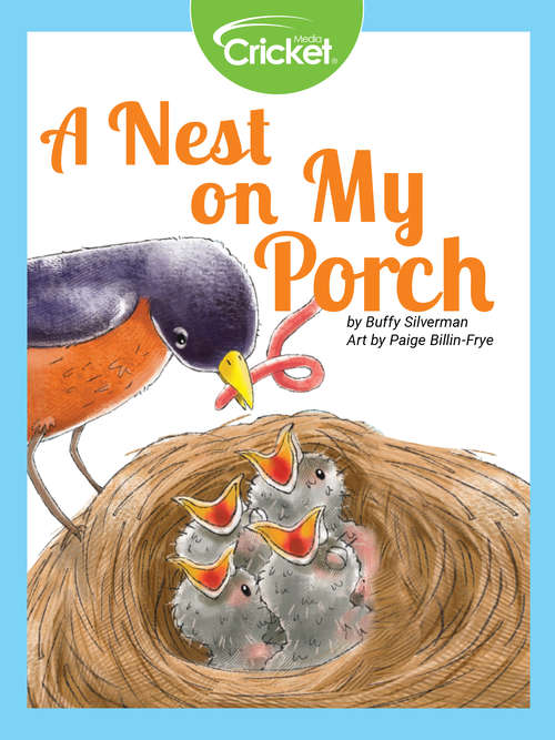 Book cover of A Nest on My Porch