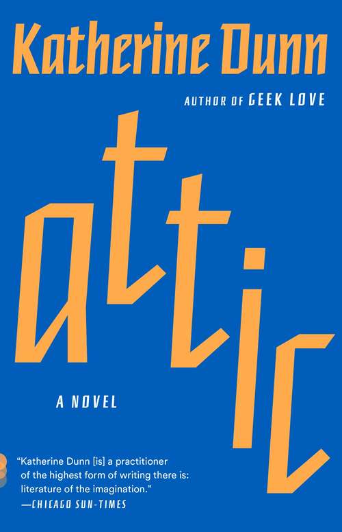 Book cover of Attic