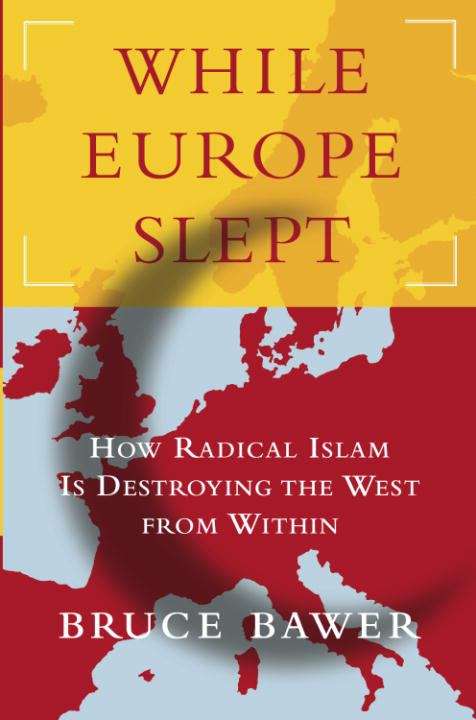 Book cover of While Europe Slept
