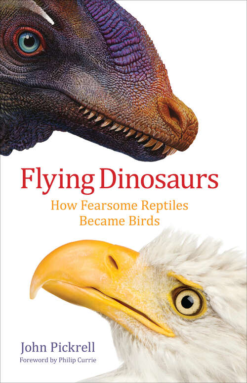 Book cover of Flying Dinosaurs: How Fearsome Reptiles Became Birds