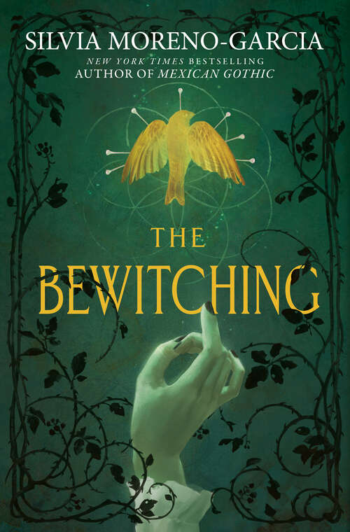 Book cover of The Bewitching