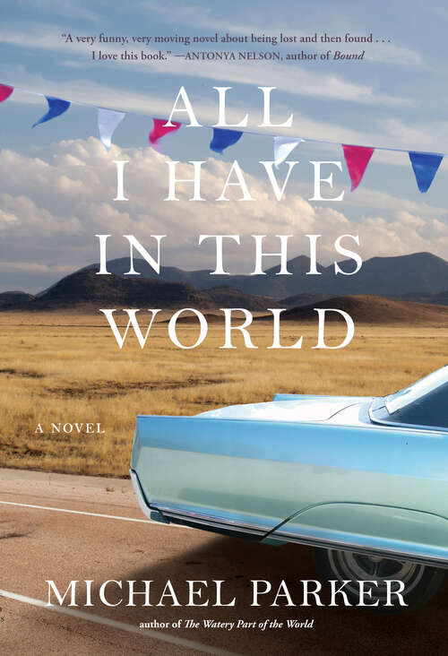 Book cover of All I Have in This World: A Novel