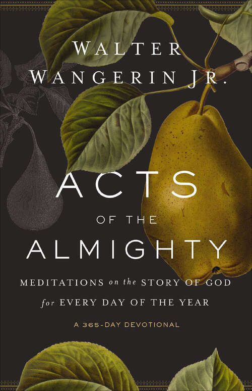Book cover of Acts of the Almighty: Meditations on the Story of God for Every Day of the Year