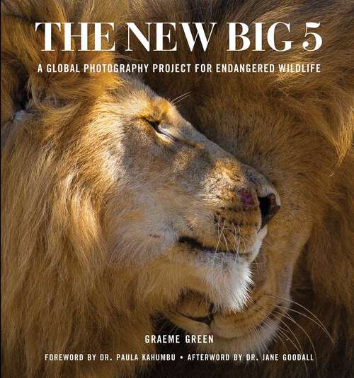 Book cover of The New Big 5