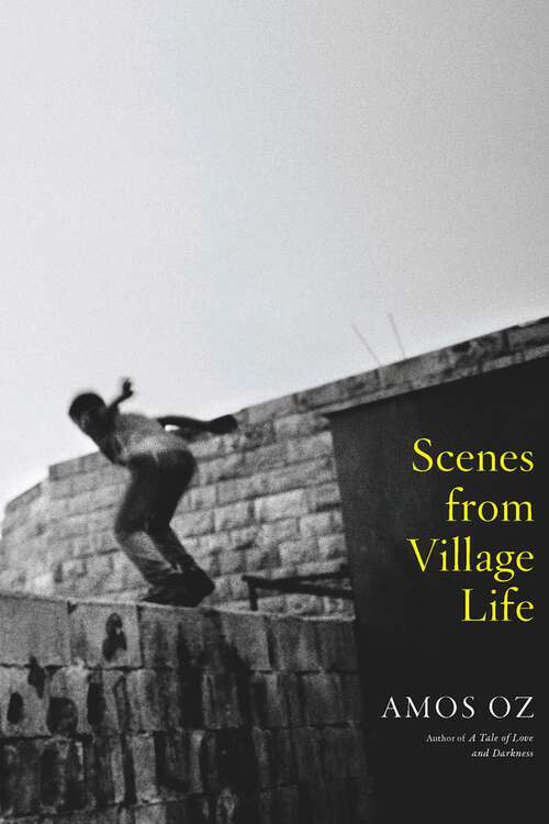 Book cover of Scenes From Village Life