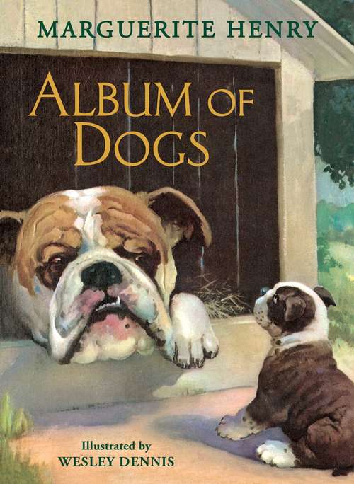 Book cover of Album of Dogs