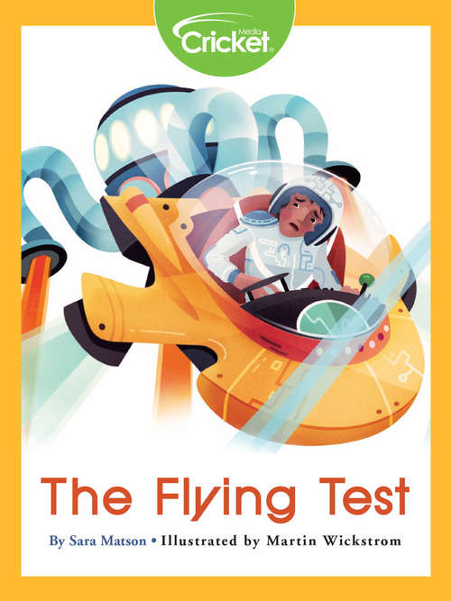Book cover of The Flying Test