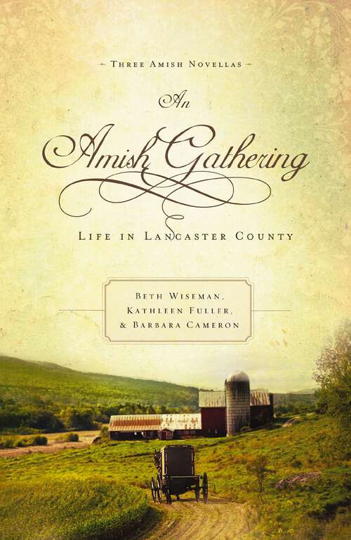 Book cover of An Amish Gathering: Life in Lancaster County
