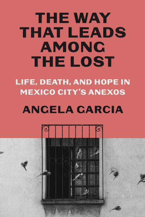 Book cover of The Way That Leads Among the Lost: Life, Death, and Hope in Mexico City's Anexos