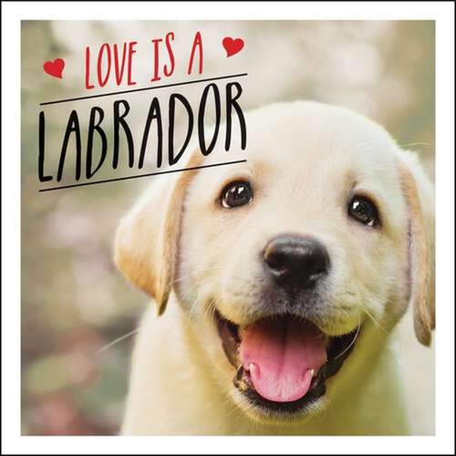 Love is a Labrador: A Lab-Tastic Celebration of the World's Favourite Dog