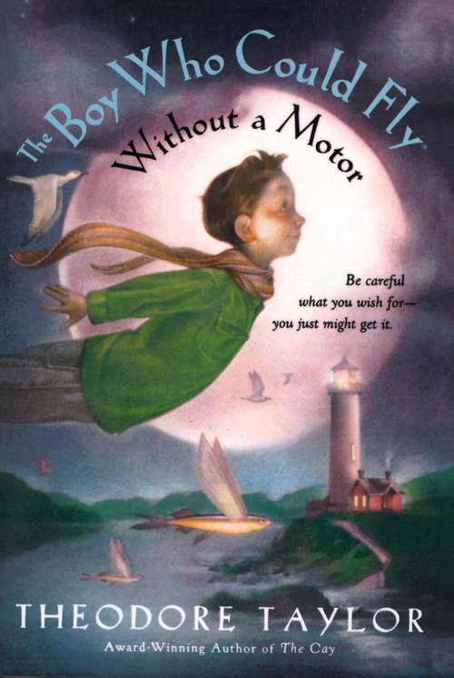 Book cover of The Boy Who Could Fly Without a Motor