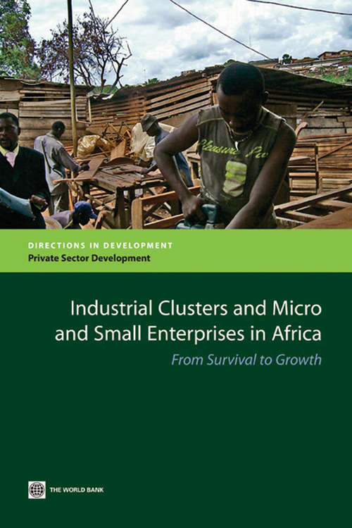 Book cover of Industrial Clusters and Micro and Small Enterprises in Africa