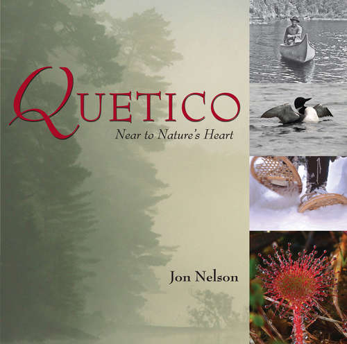 Book cover of Quetico: Near to Nature's Heart