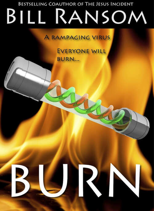 Book cover of Burn