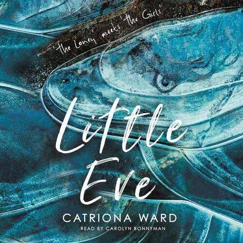 Book cover of Little Eve