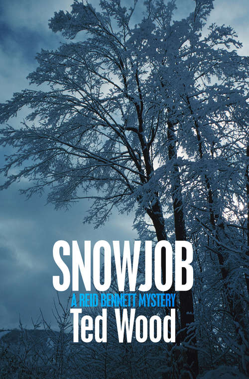 Book cover of Snowjob