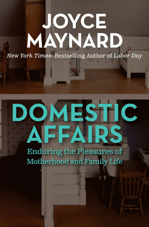 Book cover of Domestic Affairs