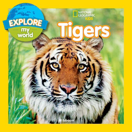 Book cover of Explore My World Tigers (Explore My World)