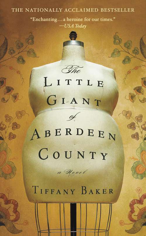 Book cover of The Little Giant of Aberdeen County