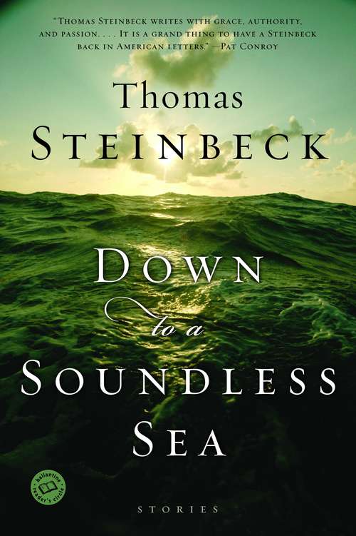 Book cover of Down to a Soundless Sea