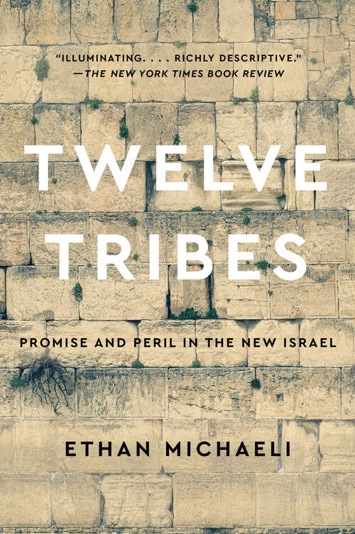 Book cover of Twelve Tribes: Promise and Peril in the New Israel