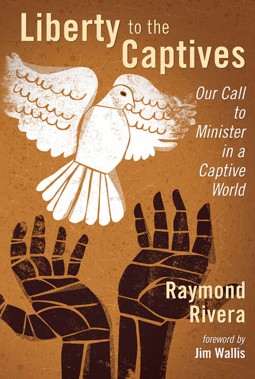 Book cover of Liberty to the Captives: Our Call to Minister in a Captive World