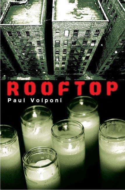 Book cover of Rooftop