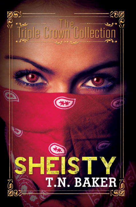 Book cover of Sheisty