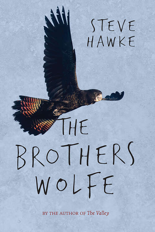 Book cover of The Brothers Wolfe