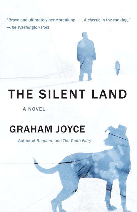 Book cover of The Silent Land
