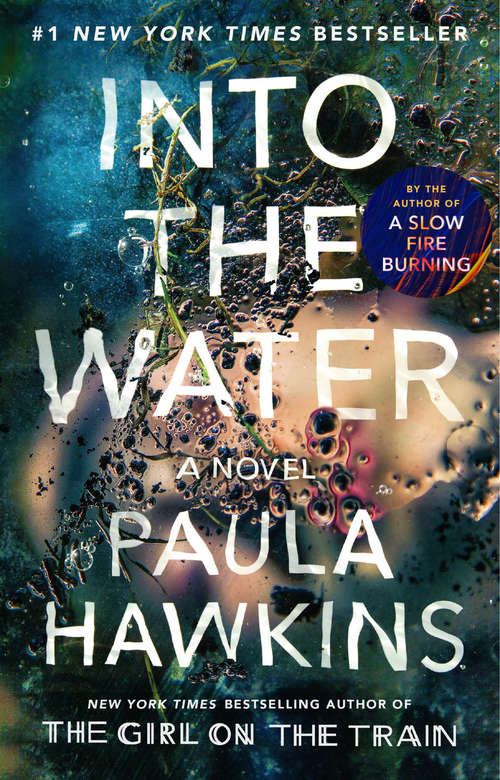 Book cover of Into the Water: A Novel
