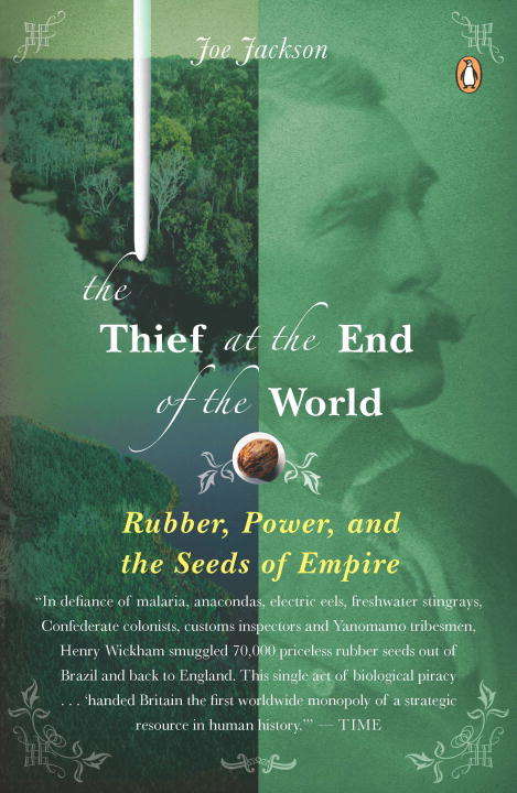 Book cover of The Thief at the End of the World